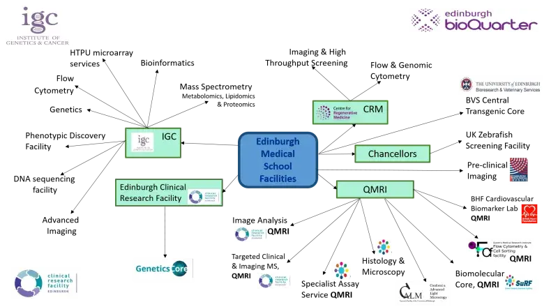 A mind map showing the geographical location of Edinburgh Medical School research facilities divided by campus