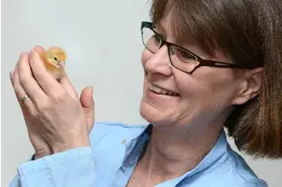 Lonneke Vervelde
