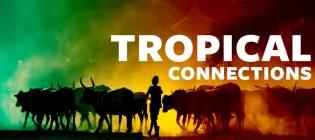 Cattle and woman, in shadow, with "Tropical Connection" overlaid.