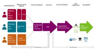Integrated clinical academic training pathway in Edinburgh