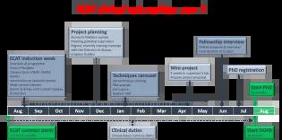 Diagram showing first year of ECAT clinical lectureships