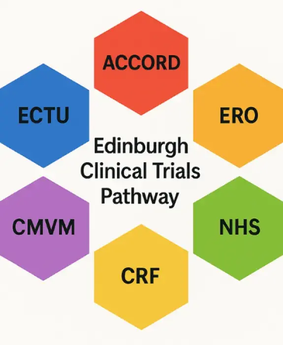 Image displaying the stakeholders of the Edinburgh Clinical Trial Pathway.