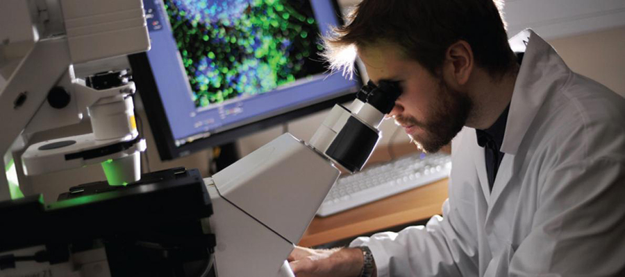 Researcher looking into microscope