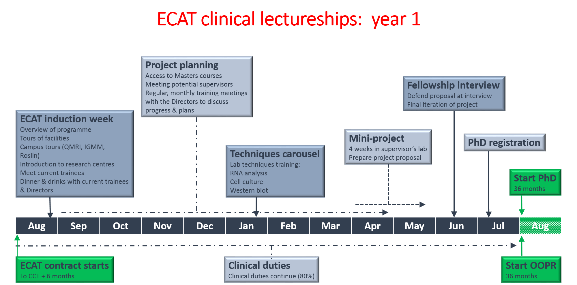 Diagram showing first year of ECAT clinical lectureships