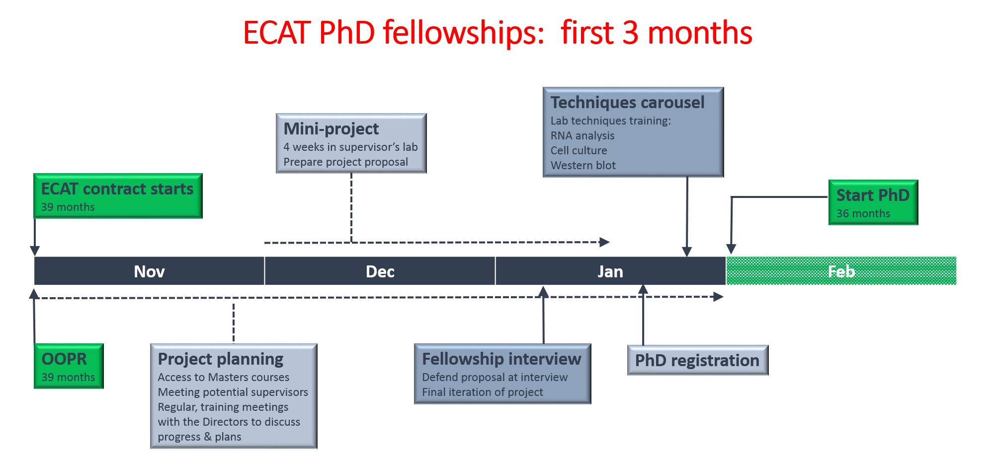 Diagram showing first three months of ECAT PhD fellowship