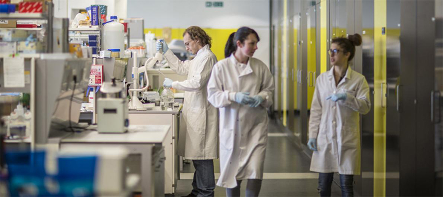 Two researchers walking a corridor