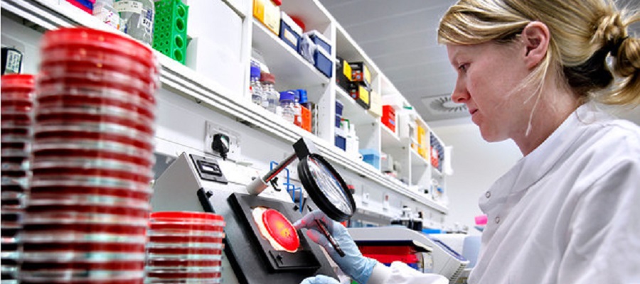Woman examining something through a microscope in a lab.