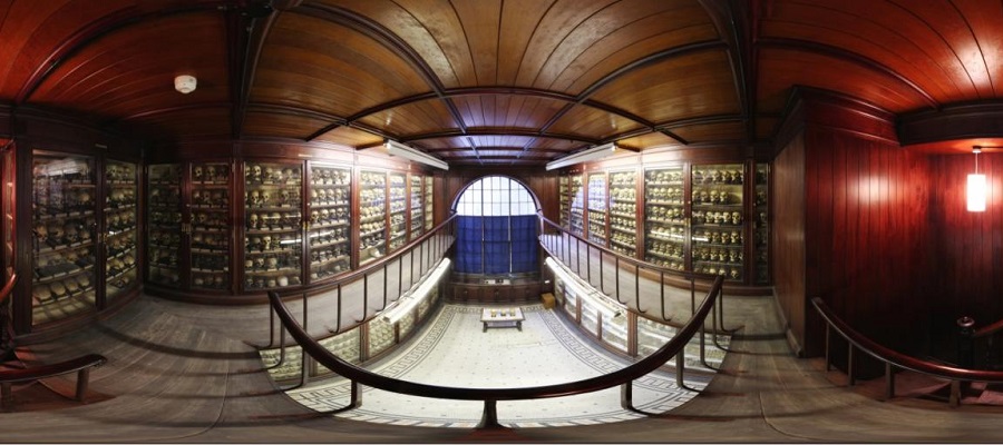 Anatomical Museum skull room