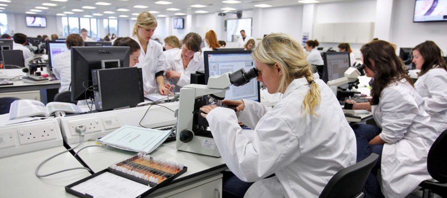 Students studying vet histology